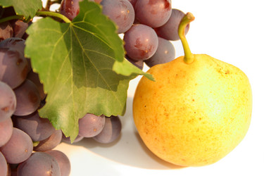 Similar image 267836