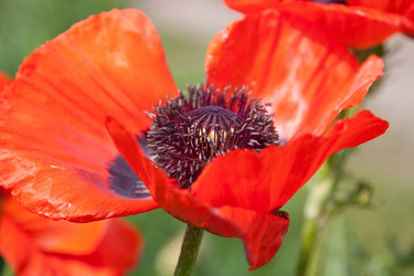 Similar image 267858