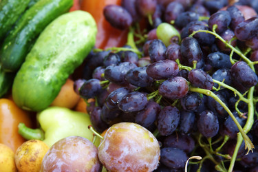 Similar image 267880