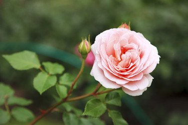 Similar image 267914