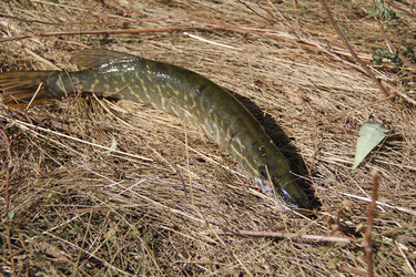 Similar image 267926