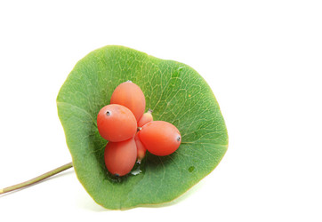 Similar image 267950