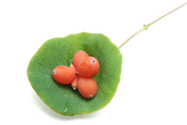 Similar image 267952