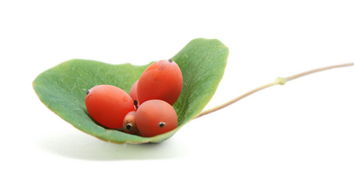 Similar image 267955