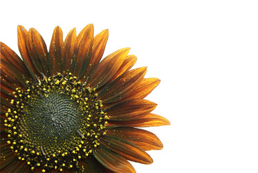 Similar image 267961