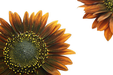 Similar image 267962