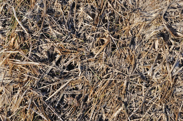 Similar image 268058