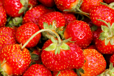 Similar image 268152