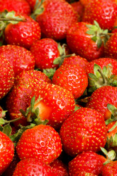 Similar image 268155