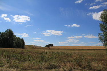 Similar image 268164