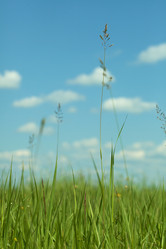 Similar image 268167