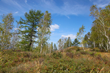 Similar image 268190