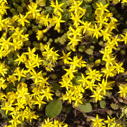 Similar image 268192