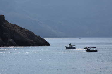 Similar image 268208