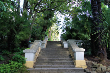 Similar image 268239