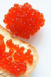 Similar image 268286