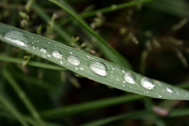 Similar image 268318