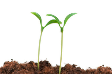 Similar image 268342