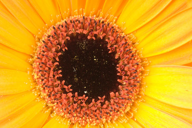 Similar image 268367