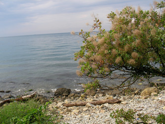 Similar image 268382