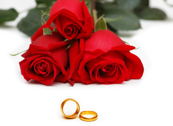 Similar image 268398