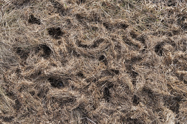 Similar image 268446