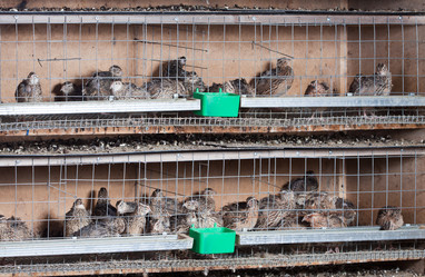 Similar image 268485