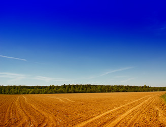 Similar image 268504