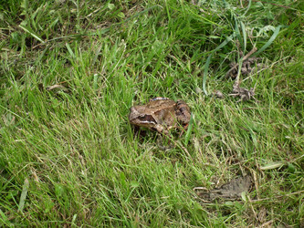 Similar image 268522