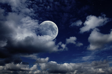 Similar image 268534