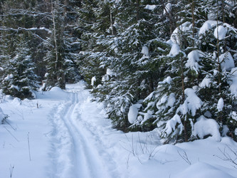 Similar image 268538