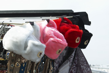 Similar image 268542