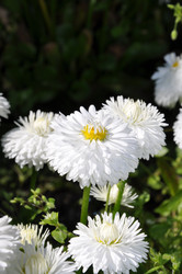 Similar image 268562