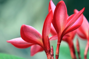 Similar image 268567