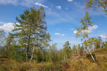 Similar image 268589