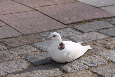 Similar image 268614