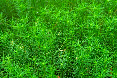 Similar image 268627