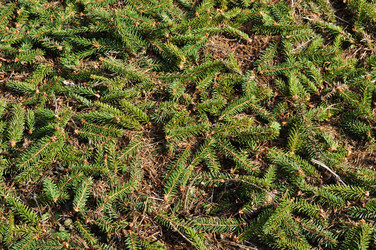 Similar image 268641