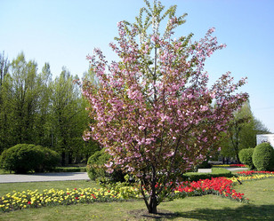 Similar image 268660