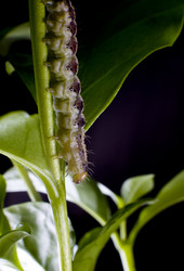 Similar image 268664