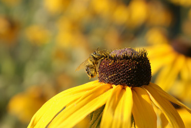 Similar image 268677