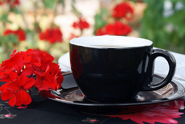 Similar image 268679