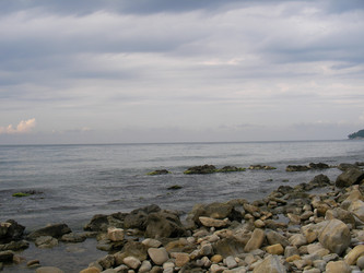 Similar image 268698