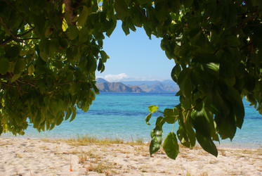 Similar image 268702