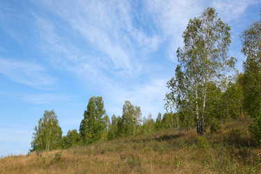 Similar image 268707