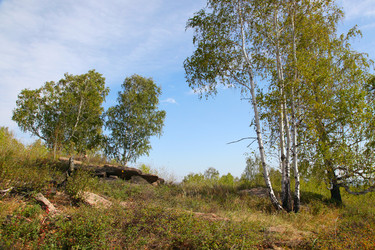 Similar image 268727