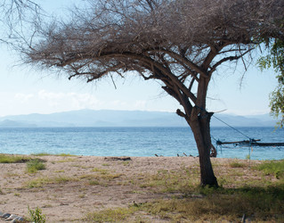 Similar image 268730