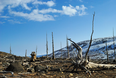 Similar image 268731