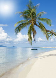 Similar image 268754