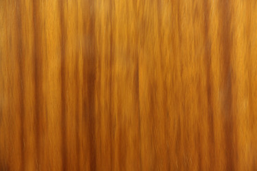 Similar image 268796